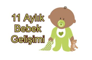 11 Aylık Bebek Gelişimi: Ne Gibi Değişiklikler Olur?