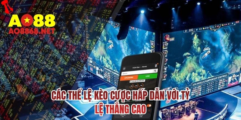 Các thể lệ kèo cược hấp dẫn với tỷ lệ thắng cao 