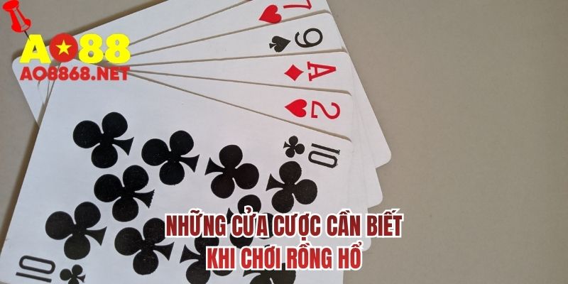 Những cửa cược cần biết khi chơi rồng hổ
